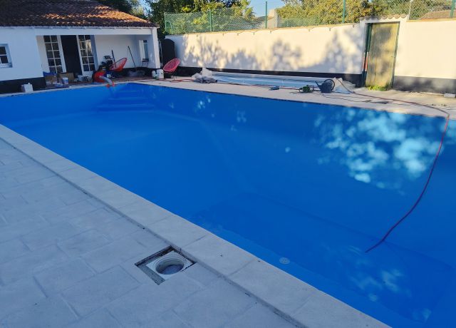 tout pour la pisicne 03 (2)